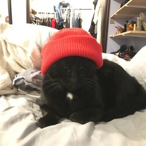 Red hat. (cat not included)